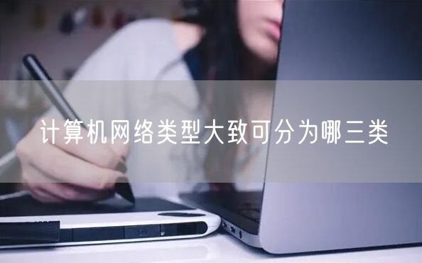 计算机网络类型大致可分为哪三类