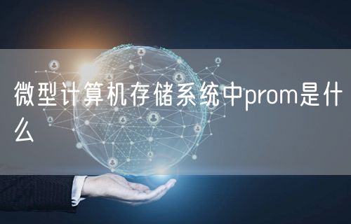 微型计算机存储系统中prom是什么
