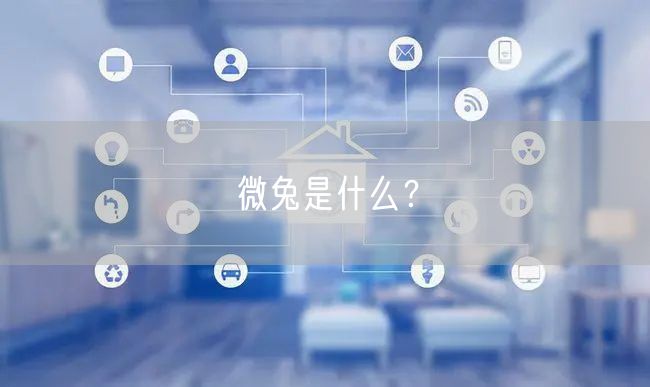 微兔是什么？