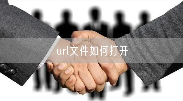 url文件如何打开