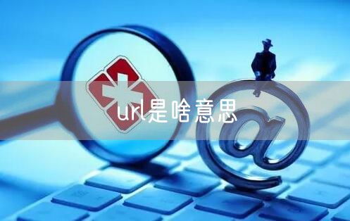 url是啥意思
