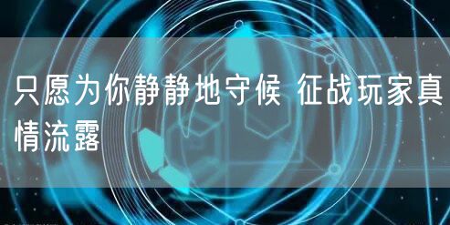 只愿为你静静地守候 征战玩家真情流露