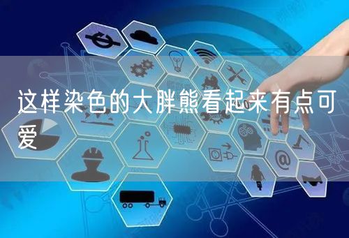 这样染色的大胖熊看起来有点可爱