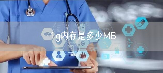 1g内存是多少MB