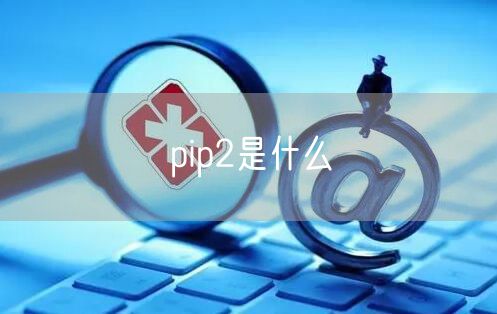 pip2是什么