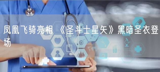 凤凰飞骑亮相 《圣斗士星矢》黑暗圣衣登场