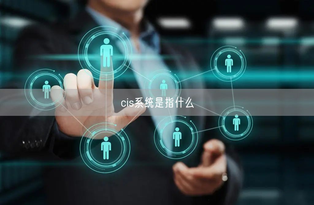 cis系统是指什么