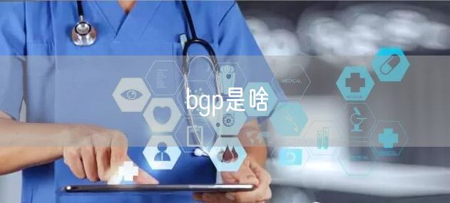 bgp是啥