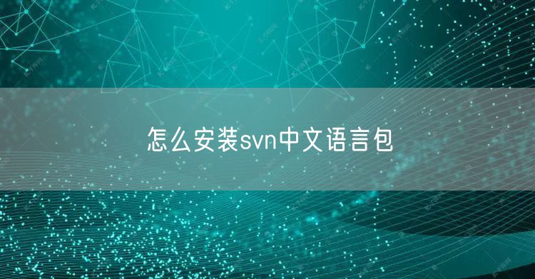 怎么安装svn中文语言包