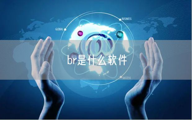 br是什么软件