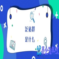 泛站群是什么意思？泛站群怎么做(泛站群的原理及作用)