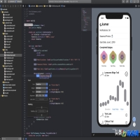 ios开发用的什么语言(ios开发者模式怎么打开)？