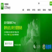 代理服务器软件排名(代理服务器软件哪个好)？