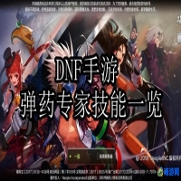 dnf弹药专家是力量还是智力(dnf弹药技能展示)？