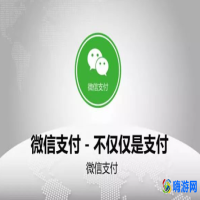 微信支付接口收费标准(微信支付接口申请条件)