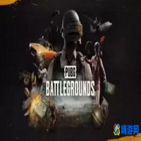 绝地求生进不去游戏(绝地求生进不去卡在界面)？