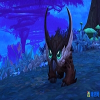 魔兽世界商城宠物推荐(魔兽世界商城宠物有什么用)？