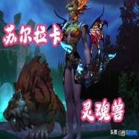 魔兽世界猎人灵魂兽刷新时间(魔兽世界猎人灵魂兽大全图示)