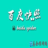 什么是网页快照，怎么查看网页快照(快照)?