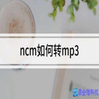 ncm格式如何转换成mp3【3种方法】