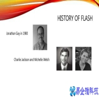 flansh是什么意思，flansh的发展史详解